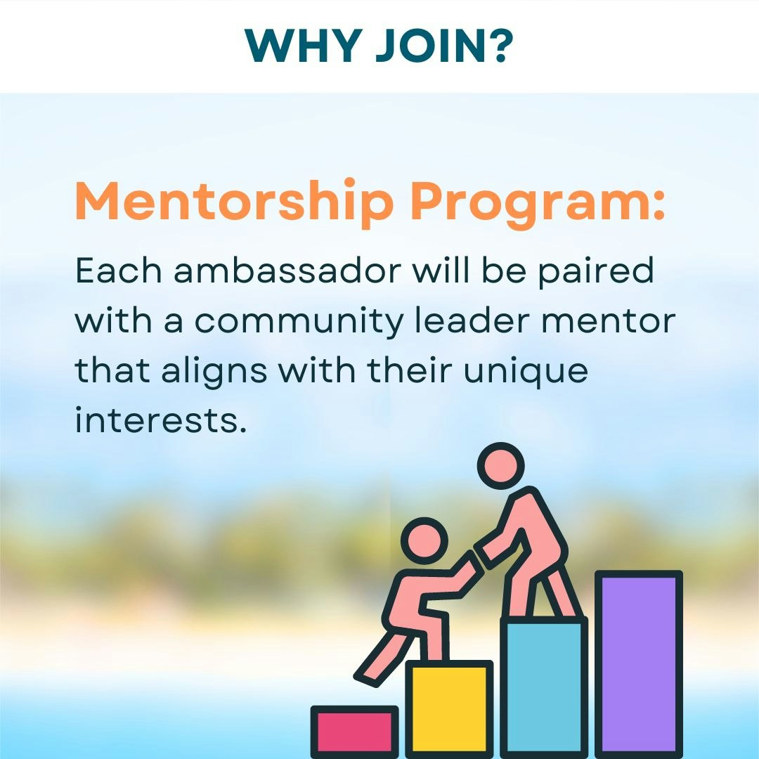 Graphic promoting a mentorship program, with one figure helping another climb blocks.