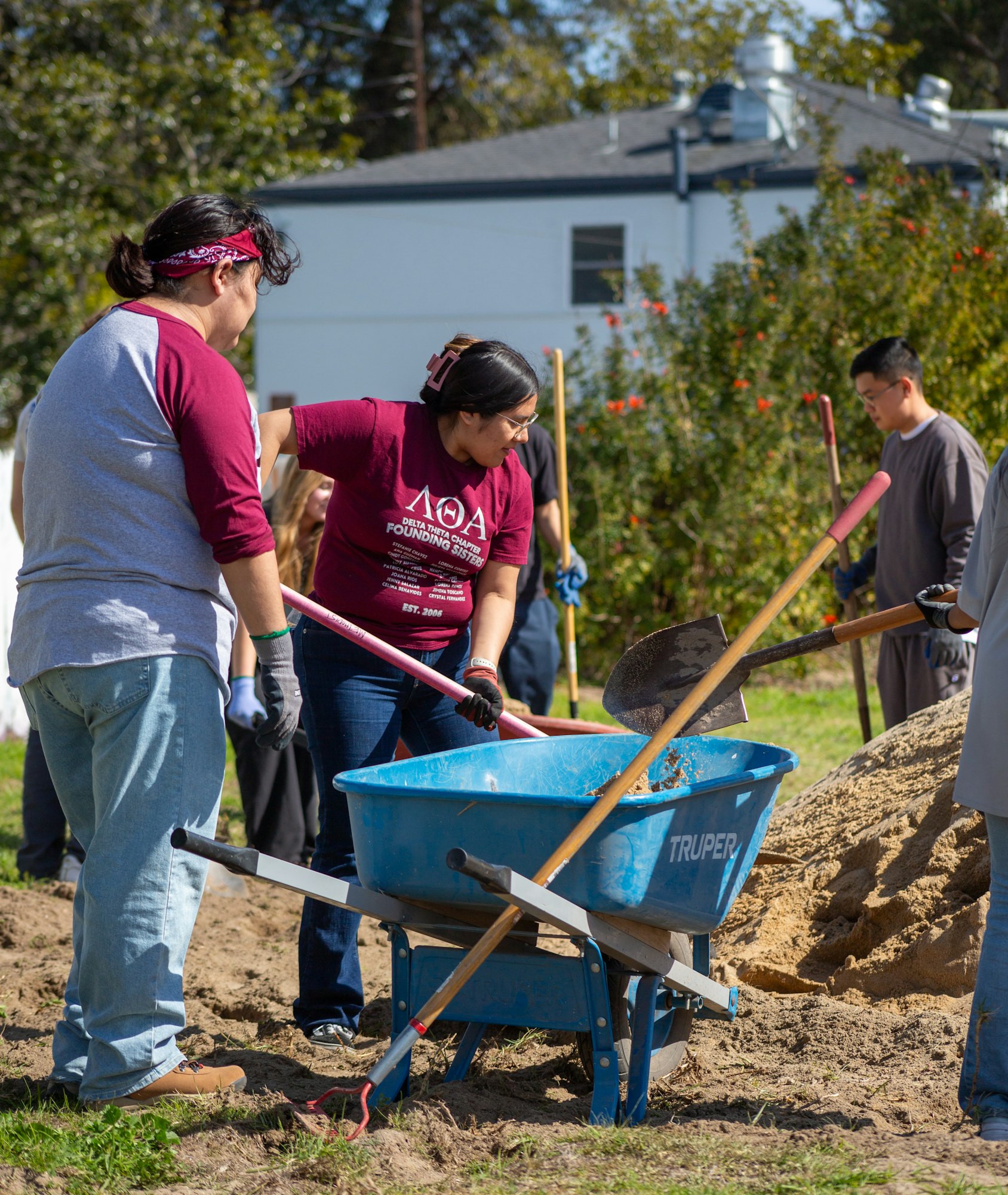 A group of people working together outdoors, shoveling dirt into a blue wheelbarrow.
