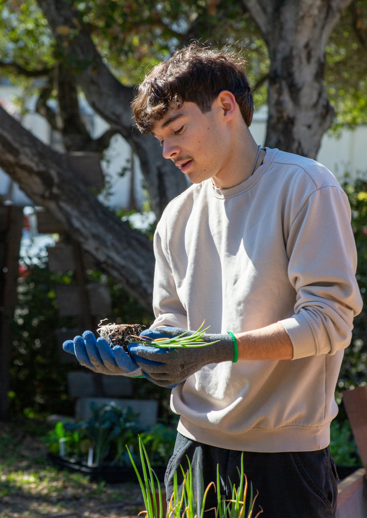 A person holding soil and plants, wearing gloves, in a garden setting.