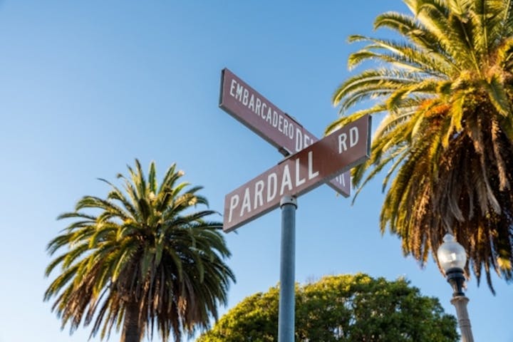 street signs with palm trees