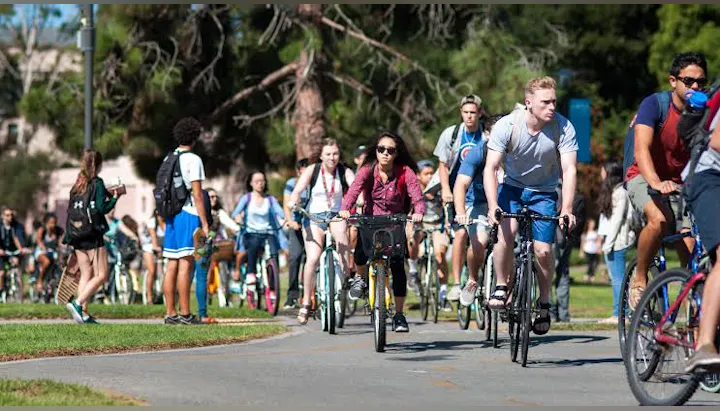 A busy pathway with numerous people riding bicycles, set in a green, outdoor environment. It's a vibrant scene full of activity.
