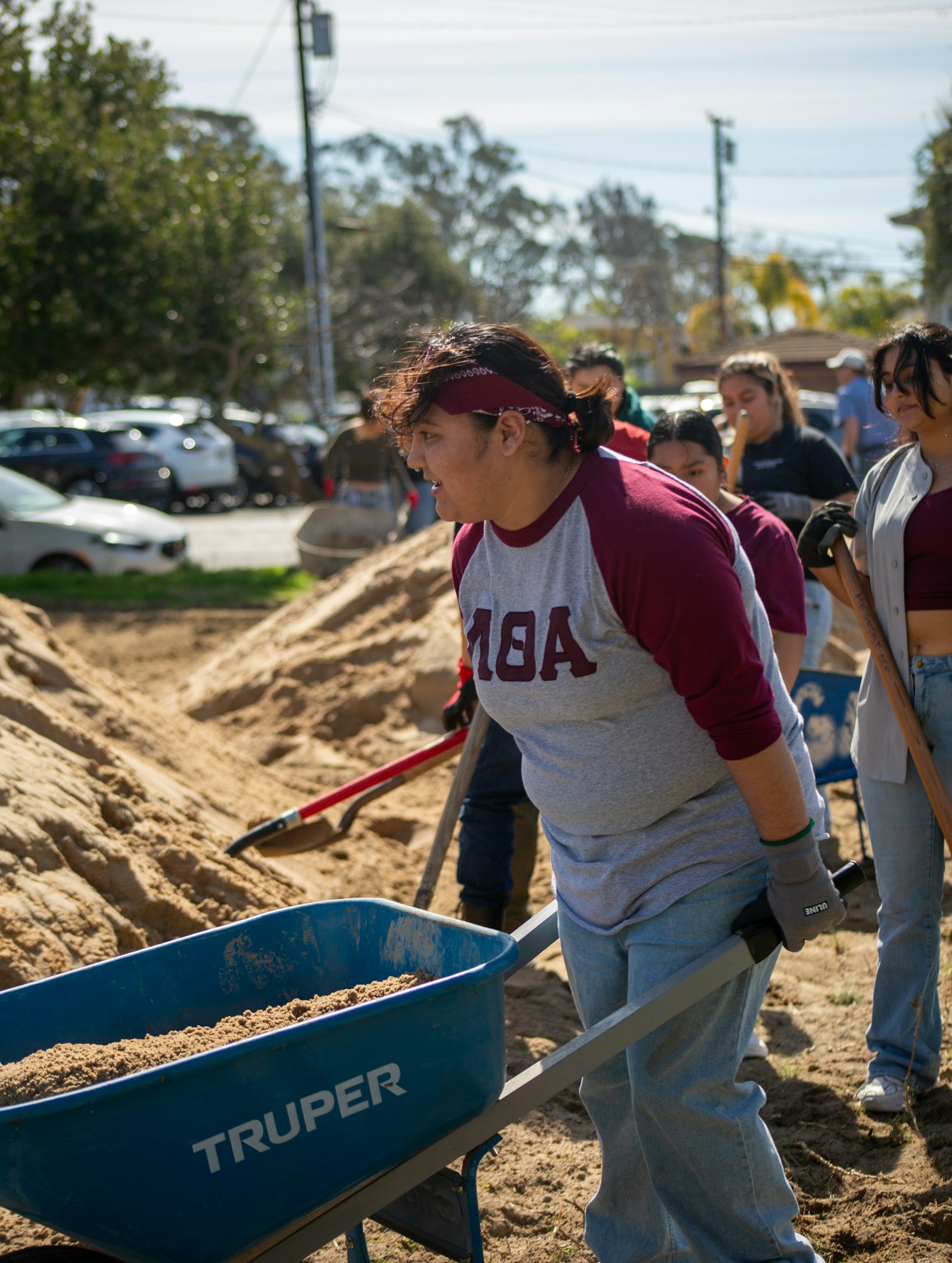 People working with wheelbarrows and shovels, moving sand outdoors.