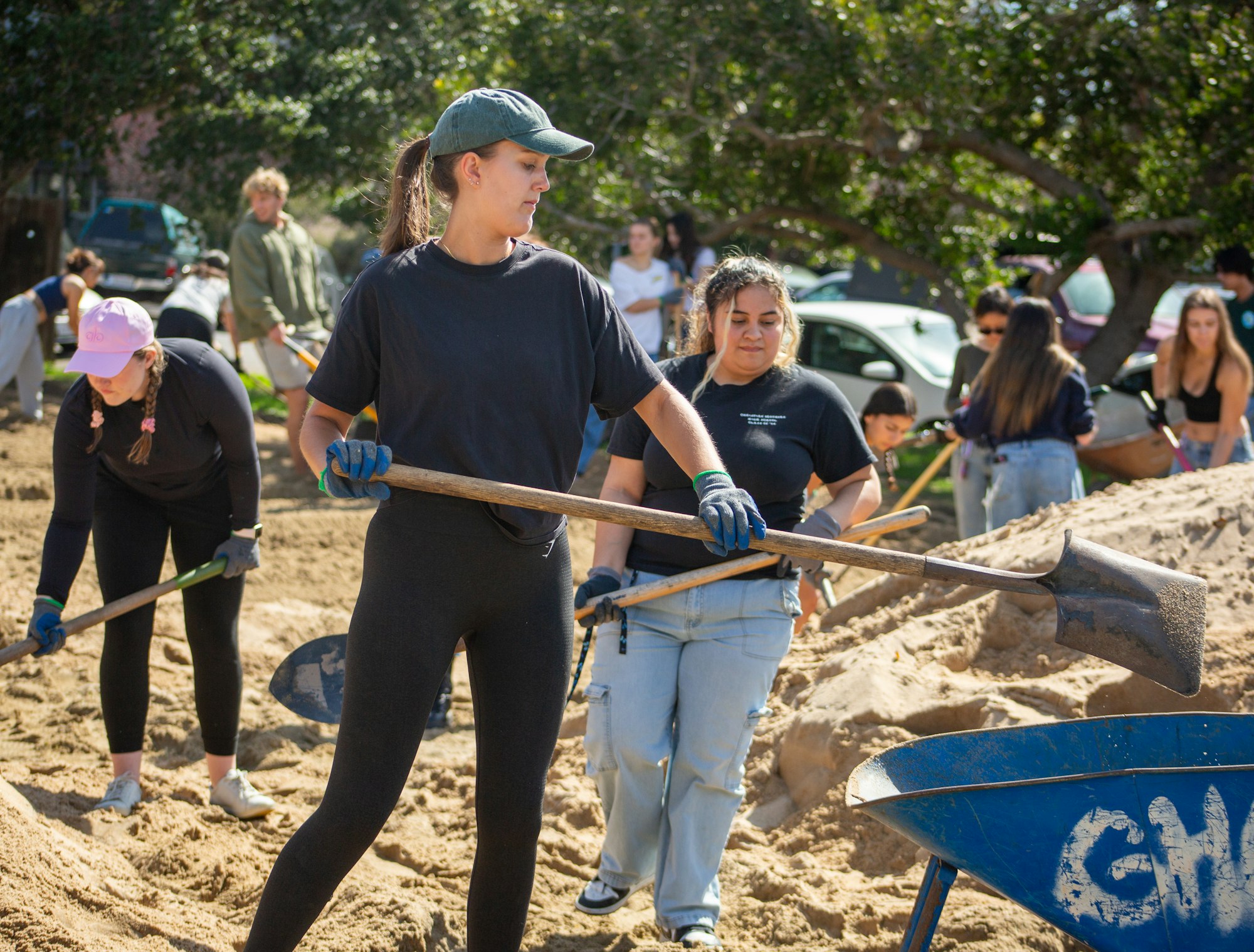 People working together, shoveling sand into a wheelbarrow in a sunny outdoor setting.