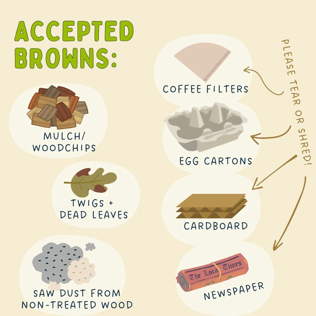 An infographic listing acceptable brown materials for composting: wood chips, leaves, sawdust from untreated wood, coffee filters, egg cartons, cardboard, and newspaper.