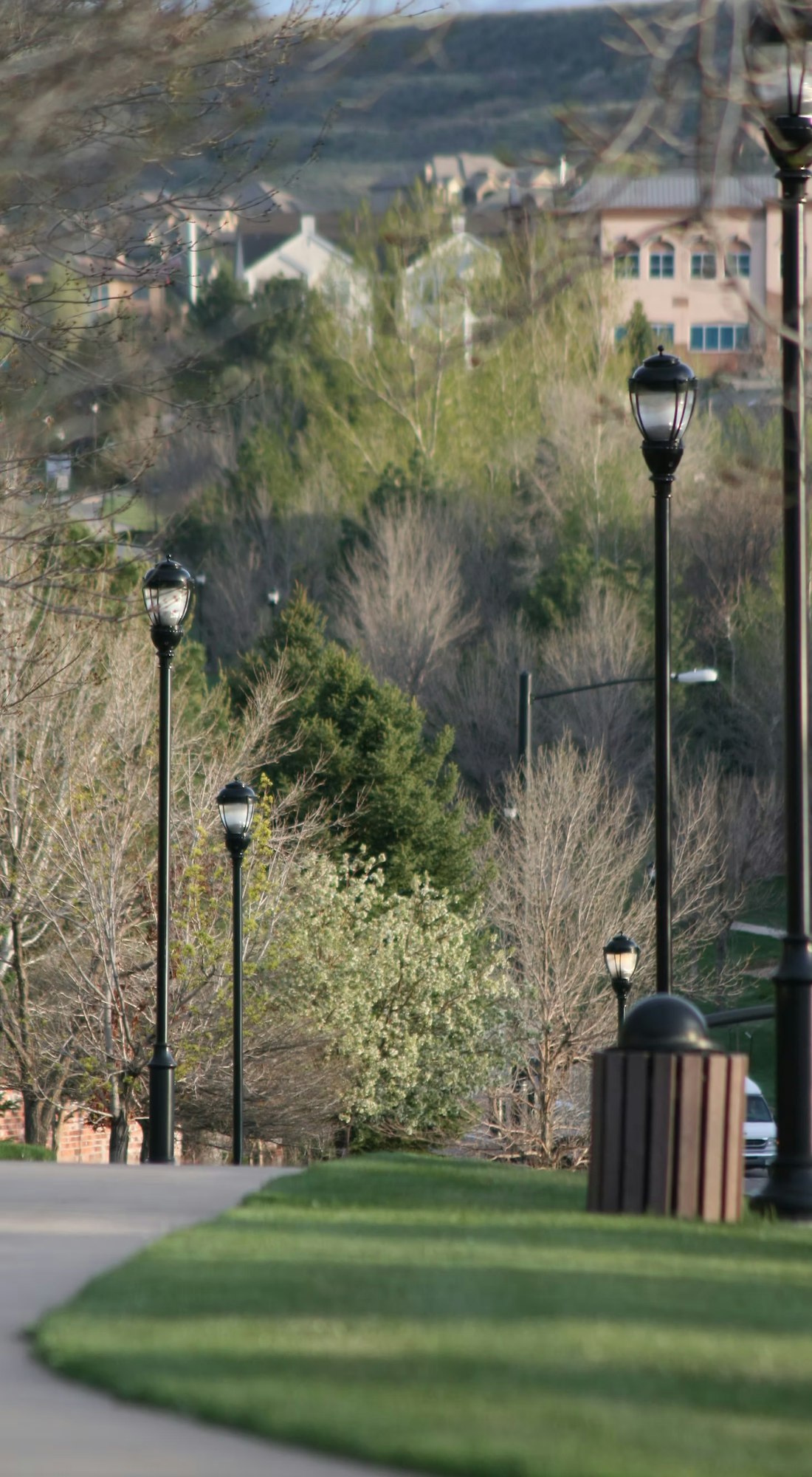 A pathway lined with lamp posts and trees, with buildings in the background.