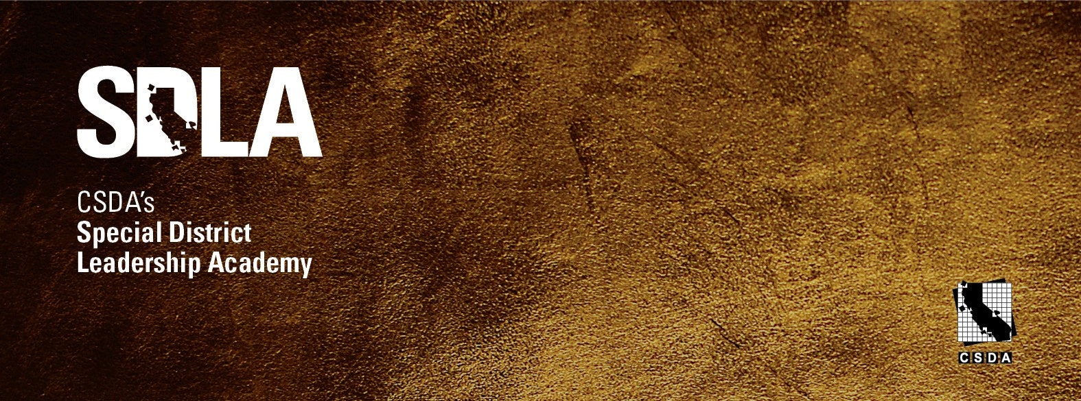 May contain: texture and publication