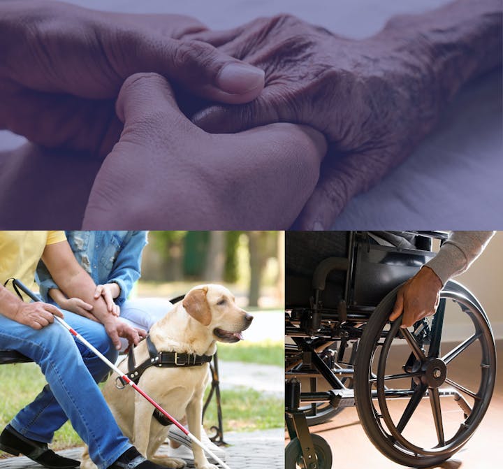 Collage: Close-up of clasped hands, a guide dog with harness, and hands on a wheelchair.