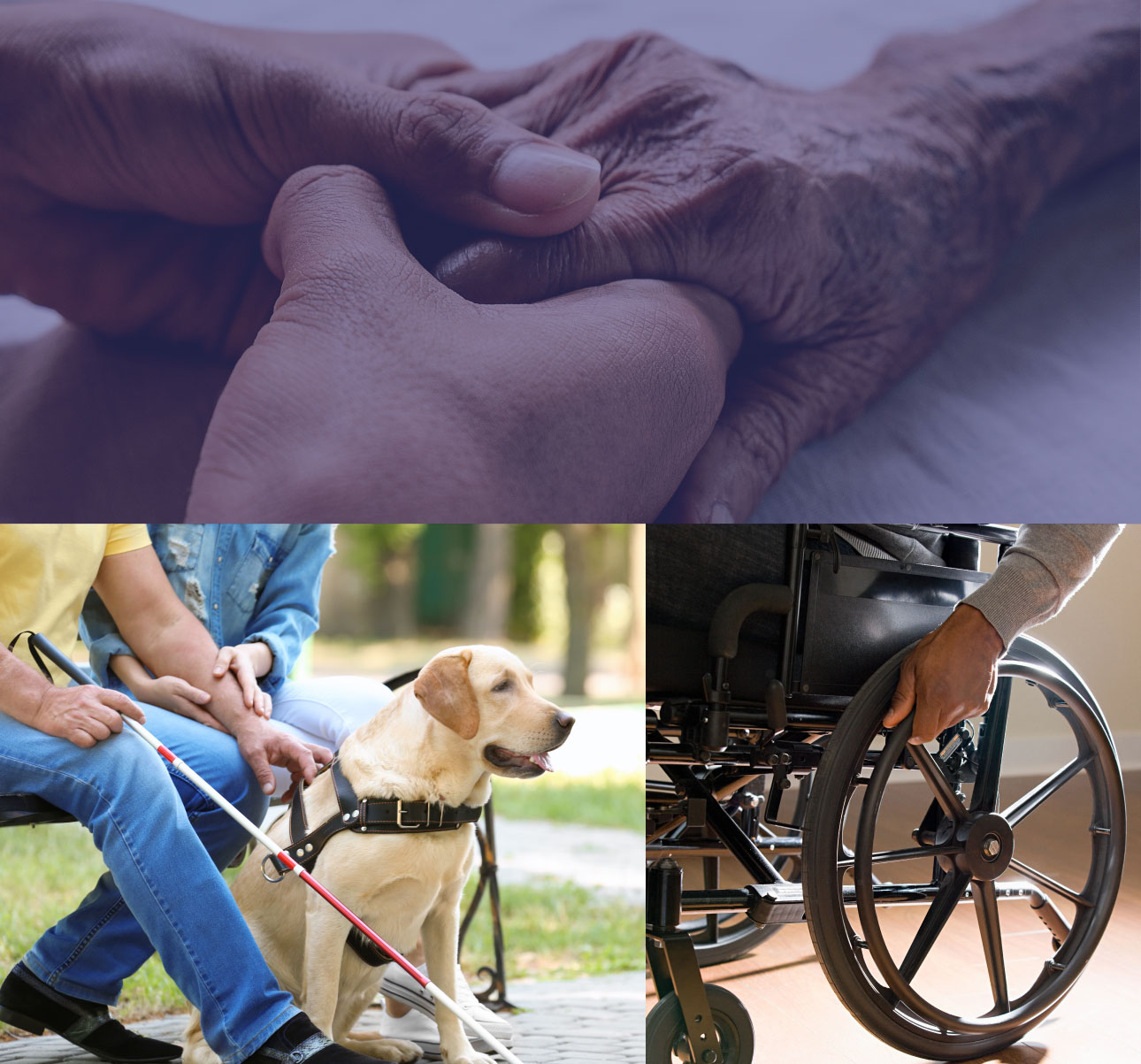 Collage: Close-up of clasped hands, a guide dog with harness, and hands on a wheelchair.