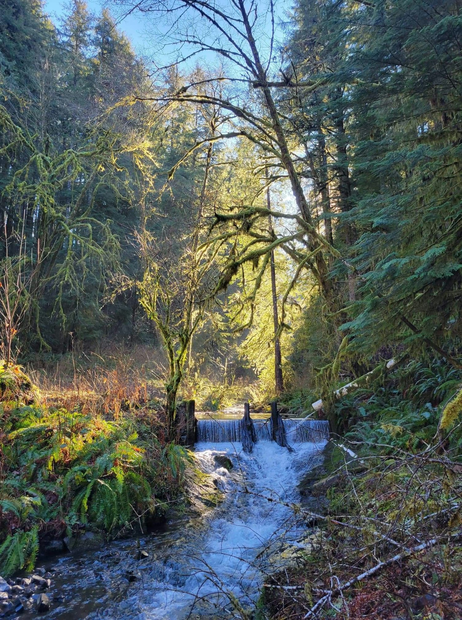 May contain: water, nature, outdoors, creek, stream, and river