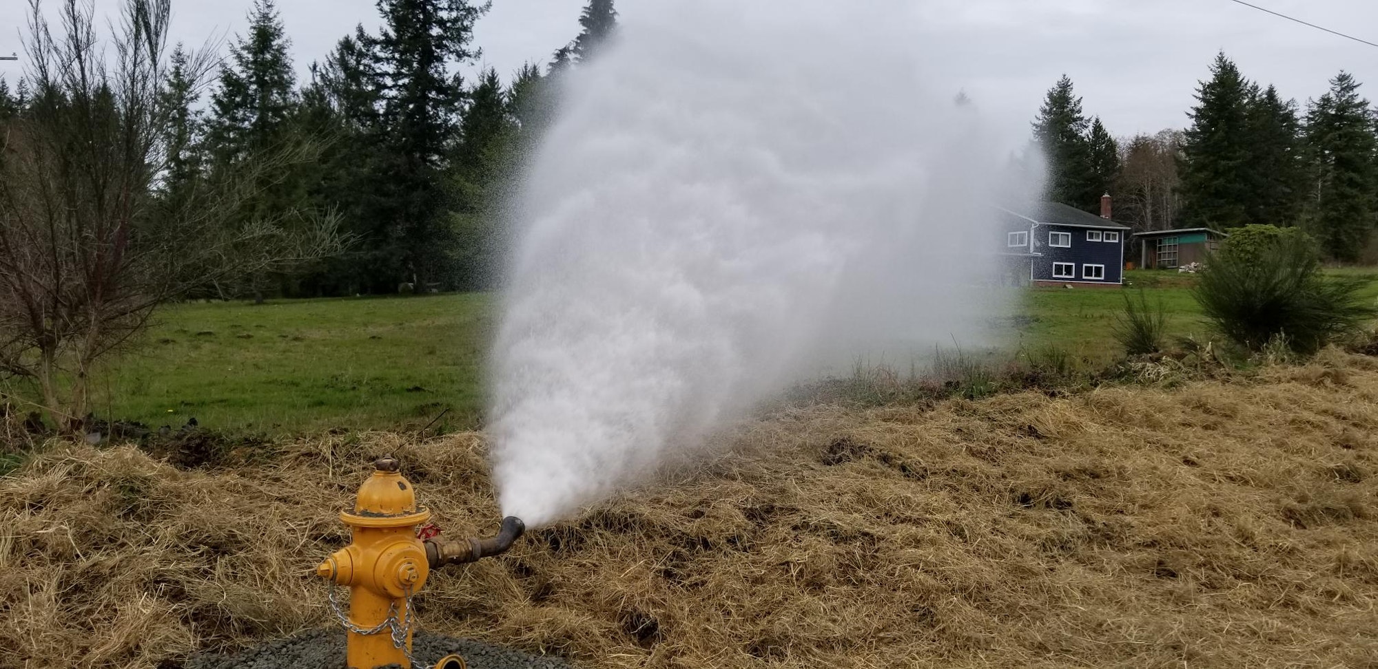 May contain: fire hydrant and hydrant