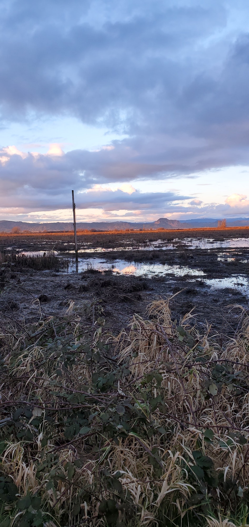 May contain: land, nature, outdoors, grass, plant, and water