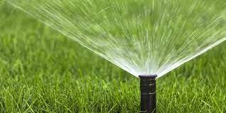 A lawn sprinkler watering green grass, spraying water in a circular pattern.