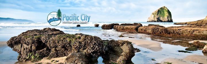 May contain: sea, ocean, water, nature, outdoors, and rock