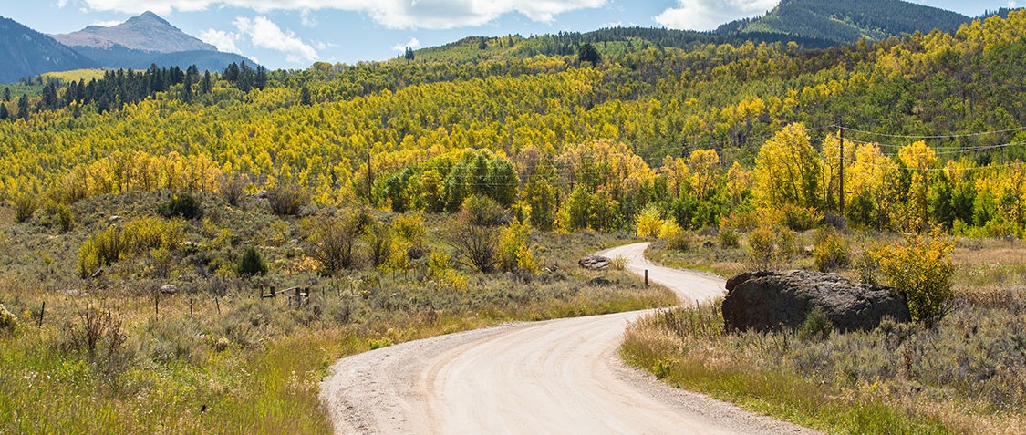 A winding dirt road through a colorful autumnal forest with mountains in the background.