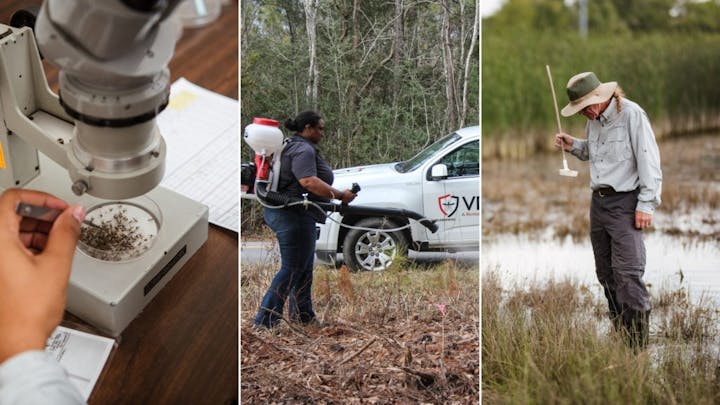 Microscope with insects, person spraying near a truck, and person examining water in a field.