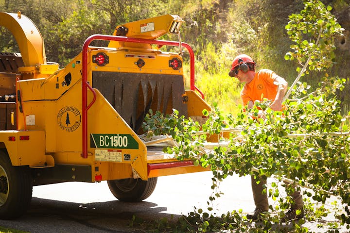 A worker feeding branches into a wood chipper.