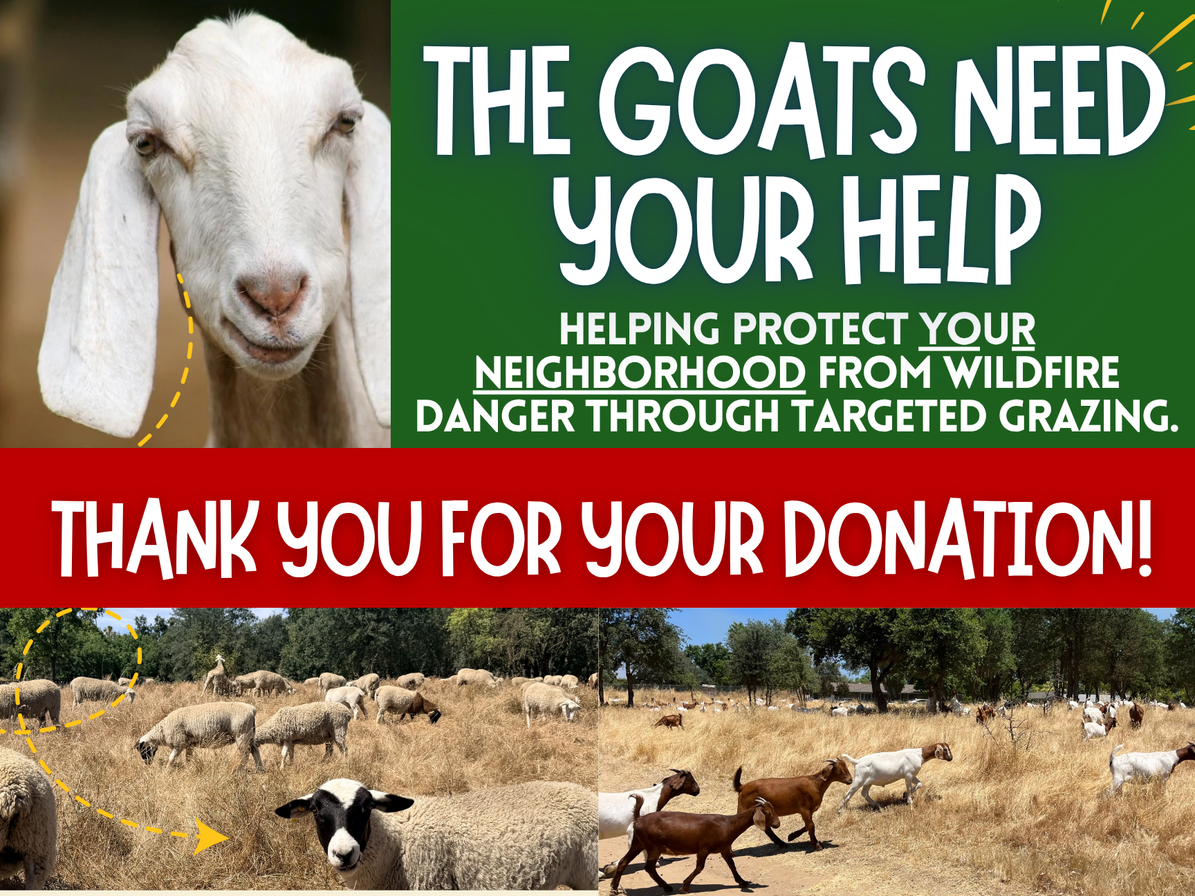 A call for donations to help goats protect neighborhoods from wildfire risks through targeted grazing.