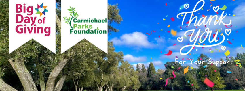 A banner thanking supporters, featuring "Big Day of Giving," "Carmichael Parks Foundation," with a backdrop of trees and a blue sky.