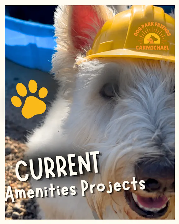 A dog in a yellow hard hat promotes current amenities projects for Dog Park Friends in Carmichael.