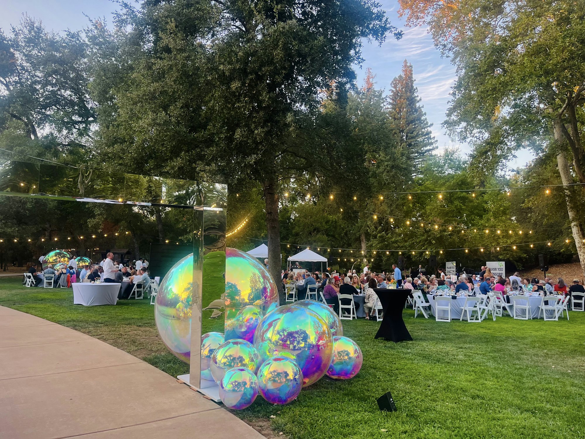 Outdoor event with people seated at tables, string lights above, and iridescent balloons on a lawn.