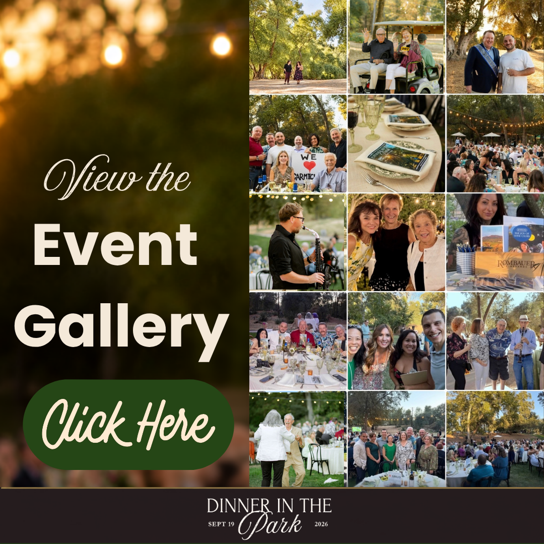 An event gallery promoting a “Dinner in the Park” with images of attendees enjoying the occasion.
