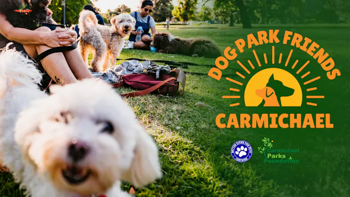 A lively dog park scene with dogs and people enjoying the outdoors, featuring a "Dog Park Friends Carmichael" logo.