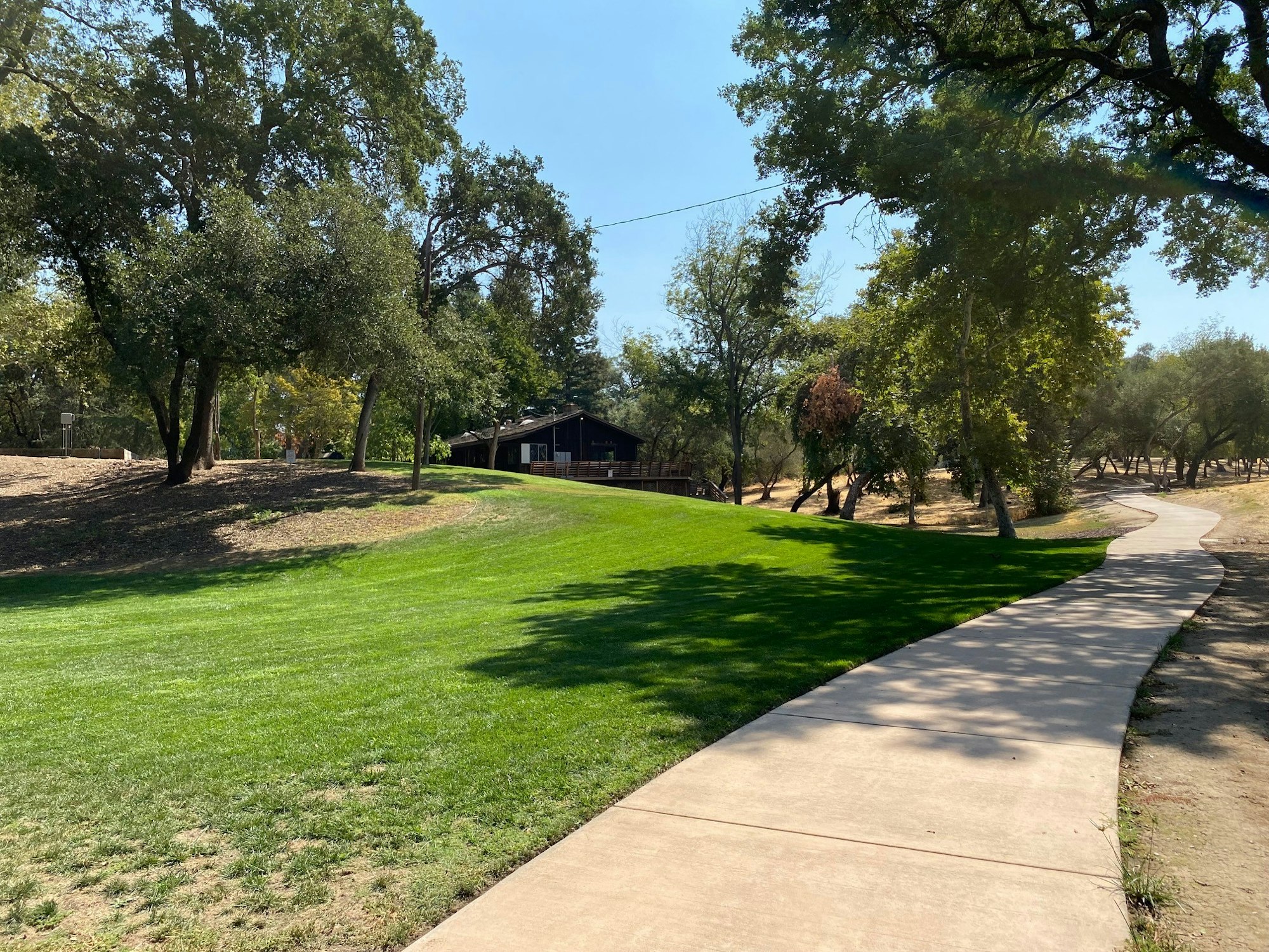A curving sidewalk through a park with green grass and trees, with a building in the background.