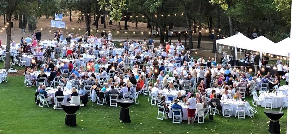 Outdoor event with people seated at tables, string lights, trees, and two tents.