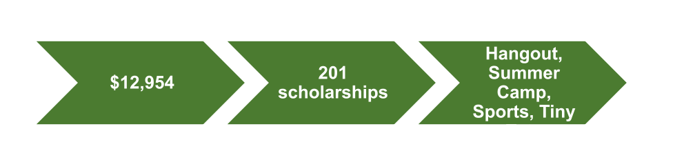$12,954, 201 scholarships, Hangout, Summer Camp, Sports, Tiny.