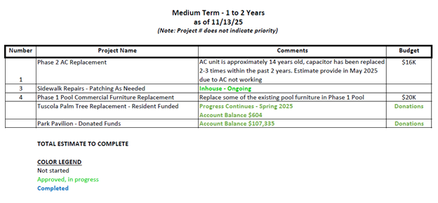 Medium-term project list with budgets, comments, and status for AC, sidewalk repairs, furniture, and pavilion funding.