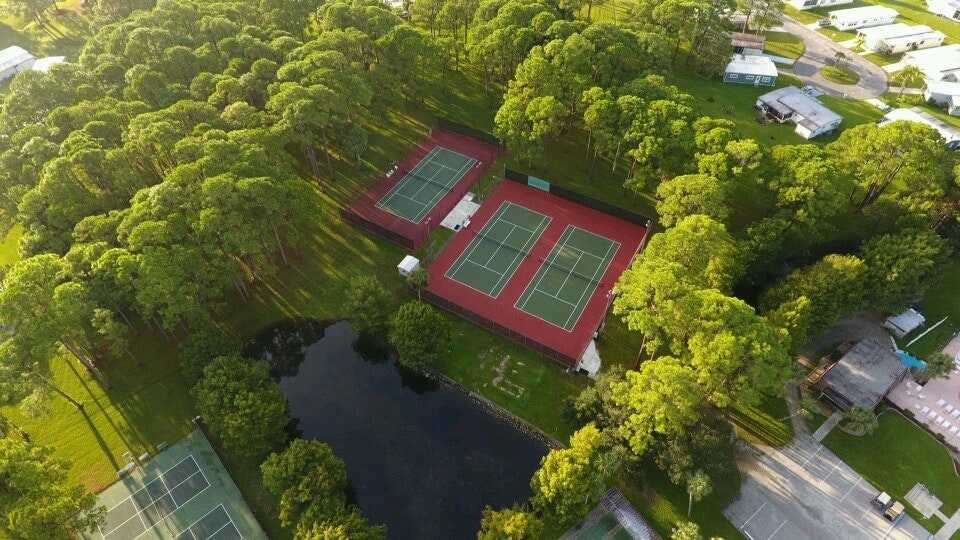 May contain: plant, grass, vegetation, sports, tennis court, and sport