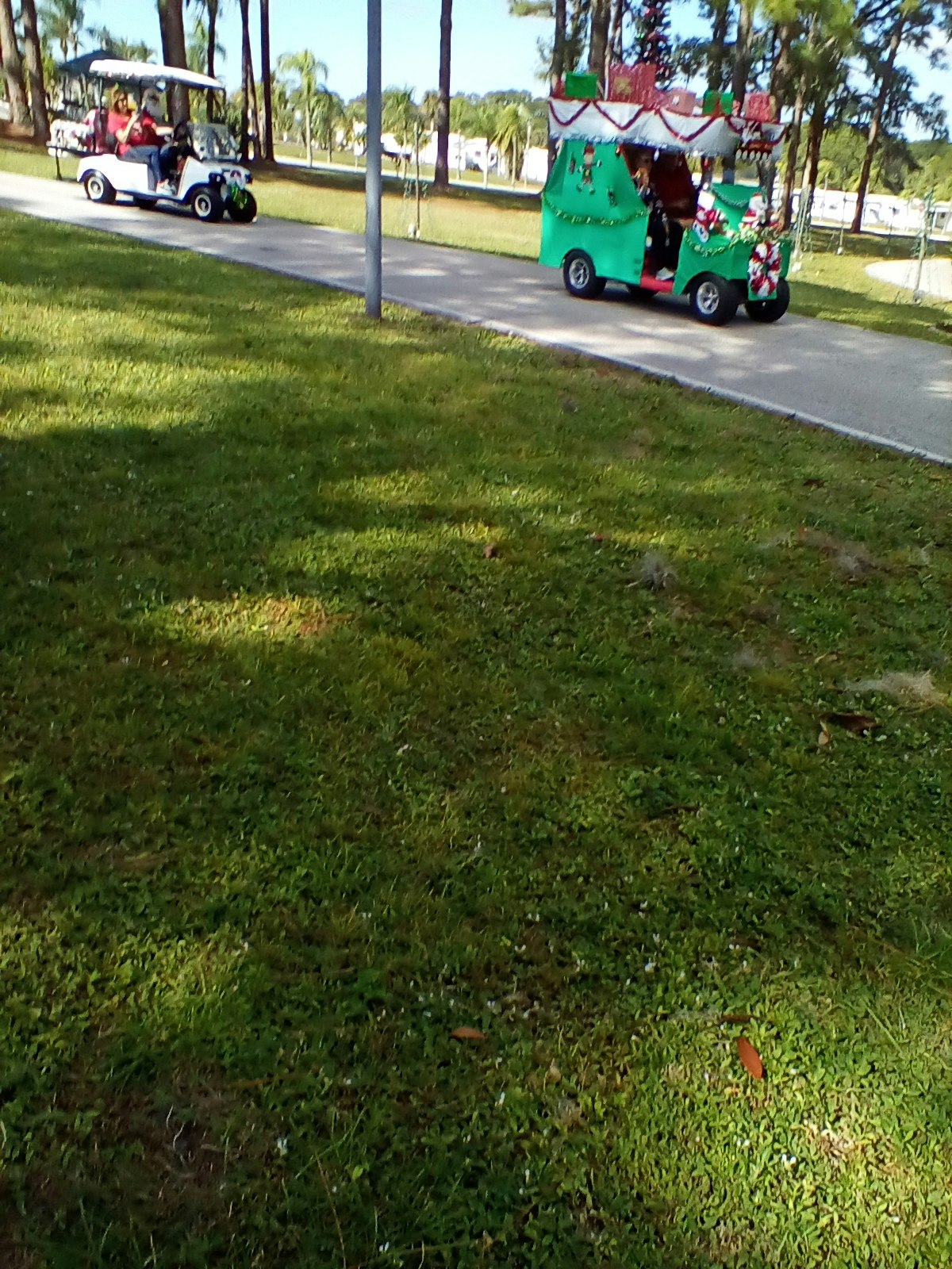 May contain: grass, plant, van, vehicle, and transportation