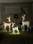 The image features illuminated reindeer decorations, adorned with red accents, set up in a yard.