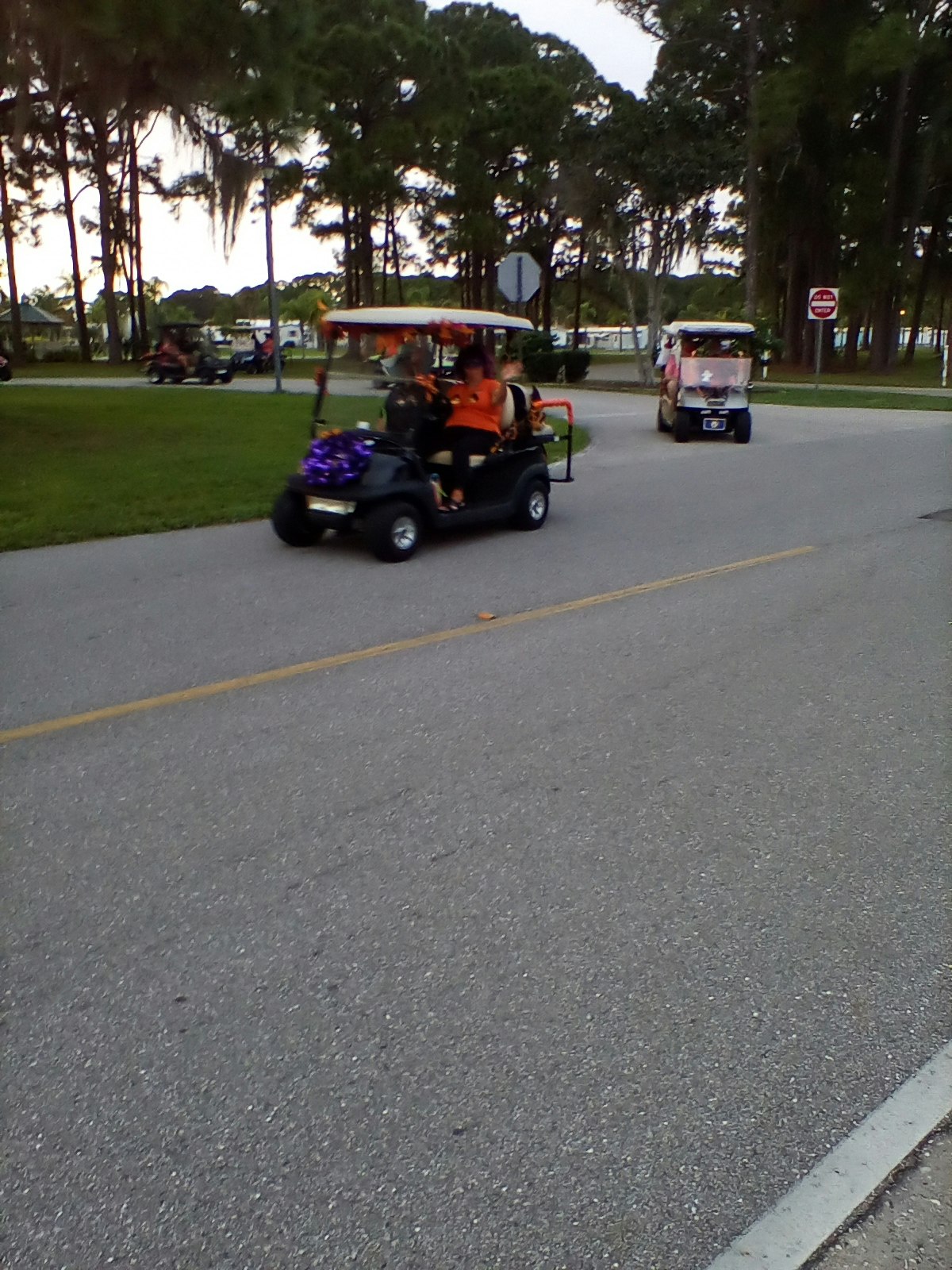 May contain: human, person, vehicle, transportation, golf cart, automobile, car, machine, and wheel