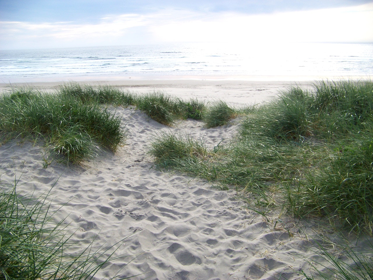 May contain: soil, nature, sand, outdoors, and dune