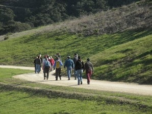 A group of people walking on a path through grassy hills.
