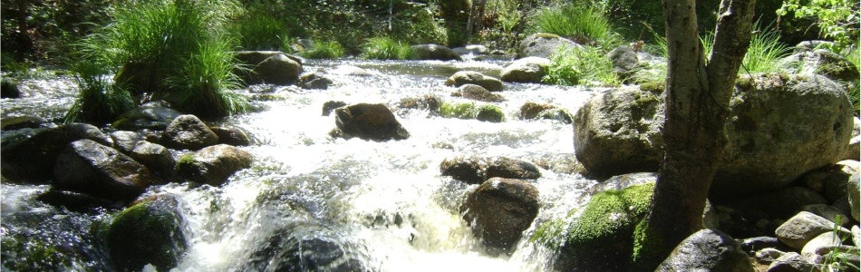 May contain: water, nature, outdoors, stream, and creek