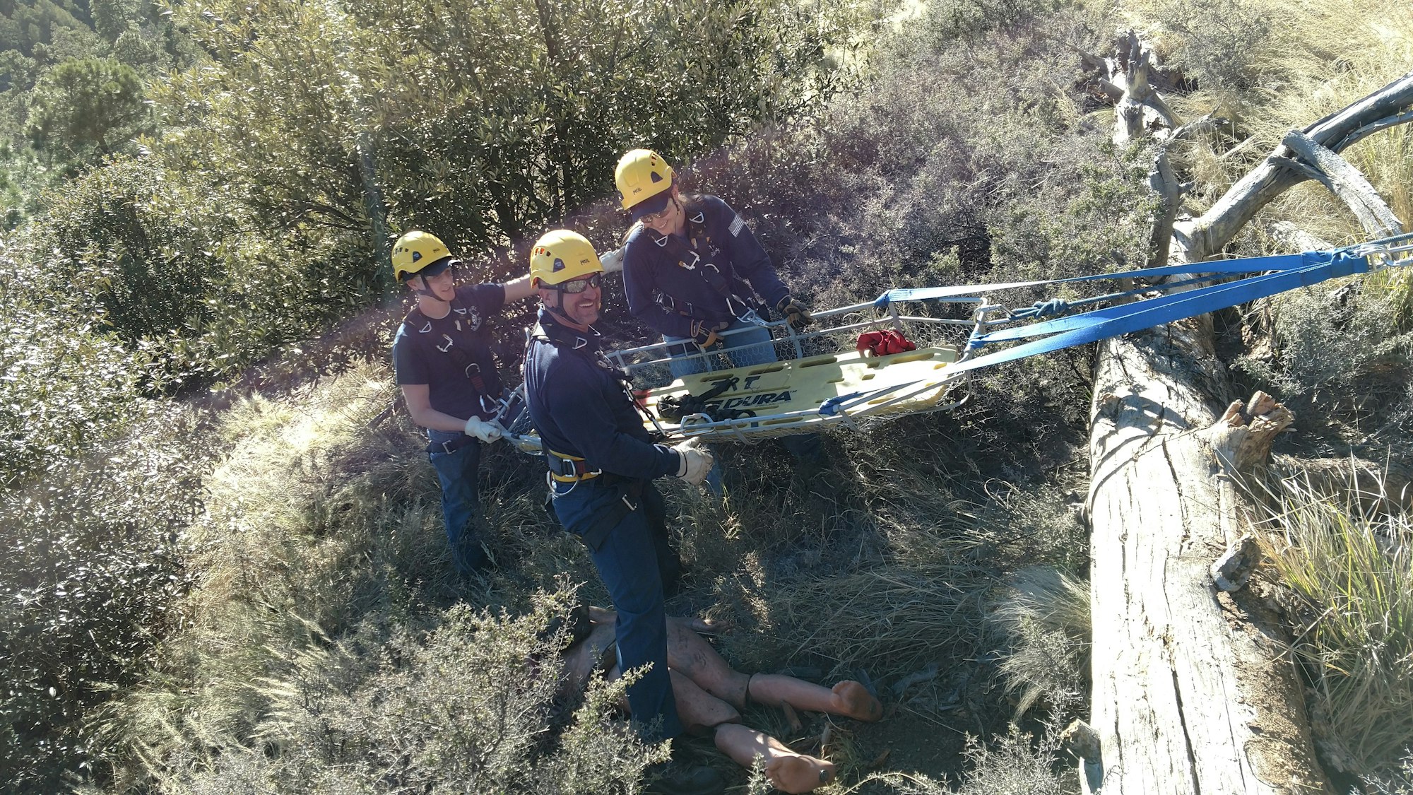TRT - Rescue training in an area with a fallen tree