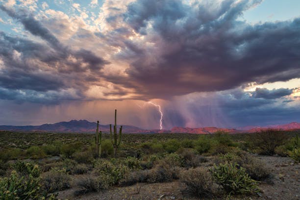 Desert landscape with cacti, dark clouds, and a lightning bolt in the distance under a dramatic sky.