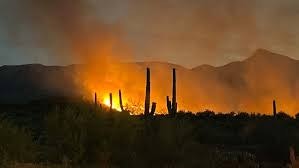 A wildfire with bright flames and heavy smoke near silhouetted cacti and mountains.