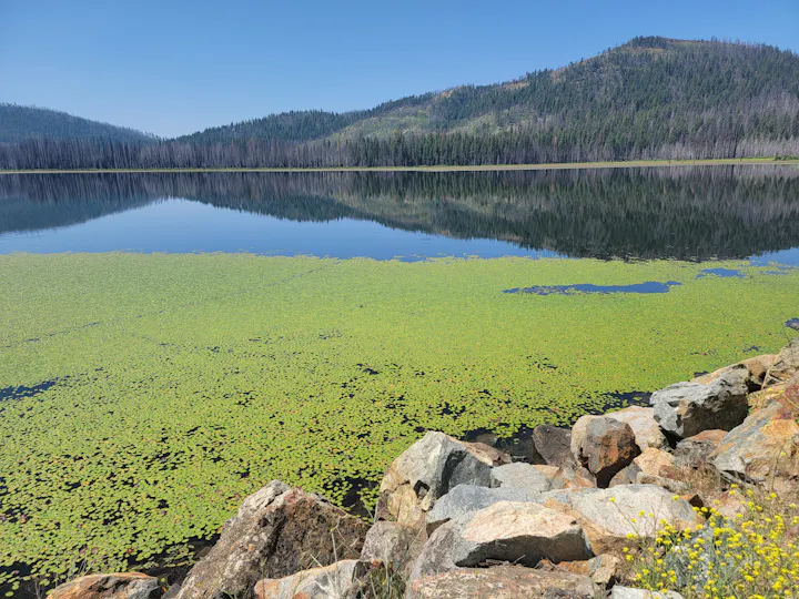 A serene lake with lily pads, surrounded by rocky shorelines and forested hills in the background.