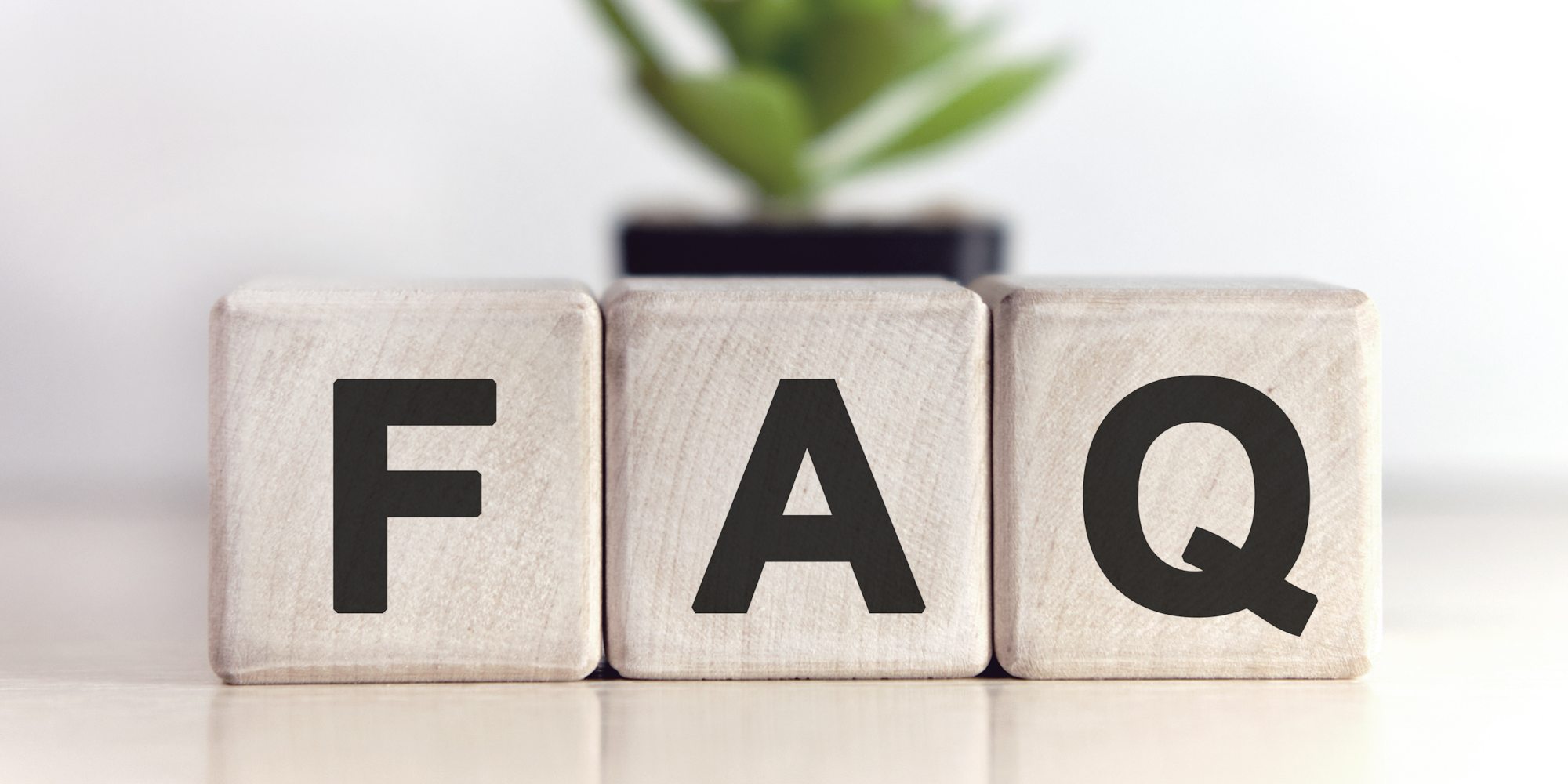 The image features three wooden blocks displaying the letters "F," "A," and "Q," with a plant in the background.