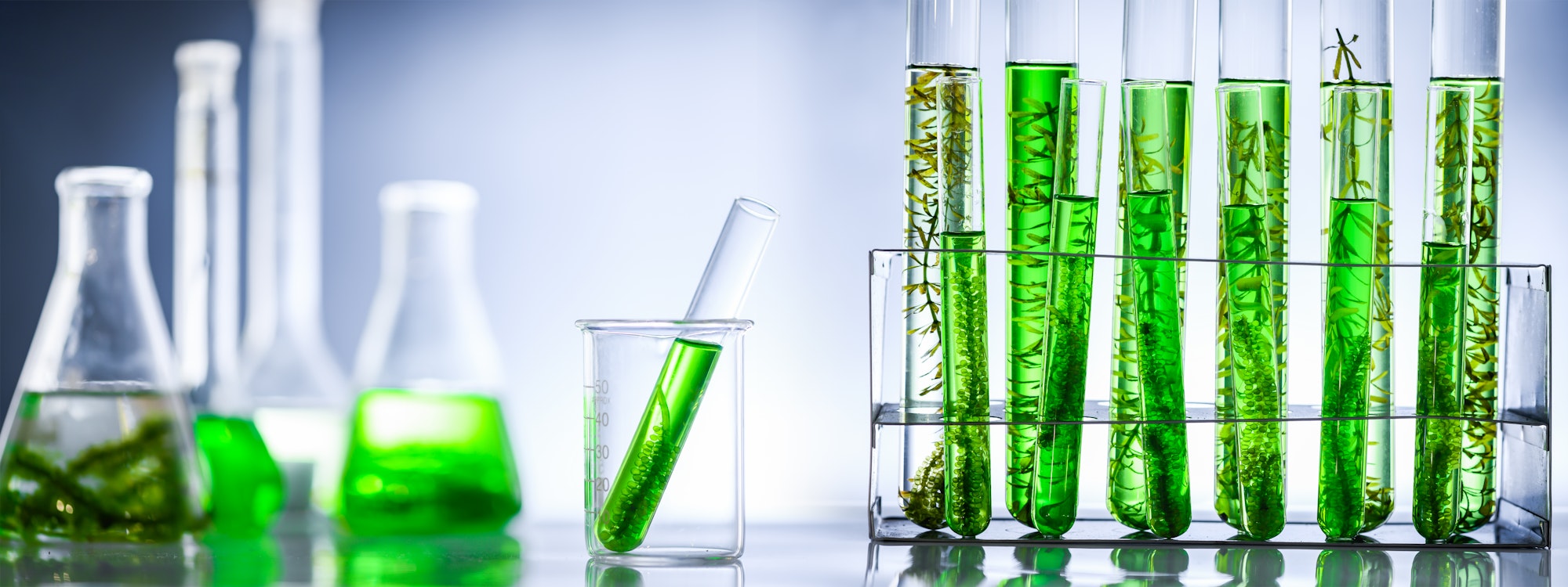Science beakers with green liqquid