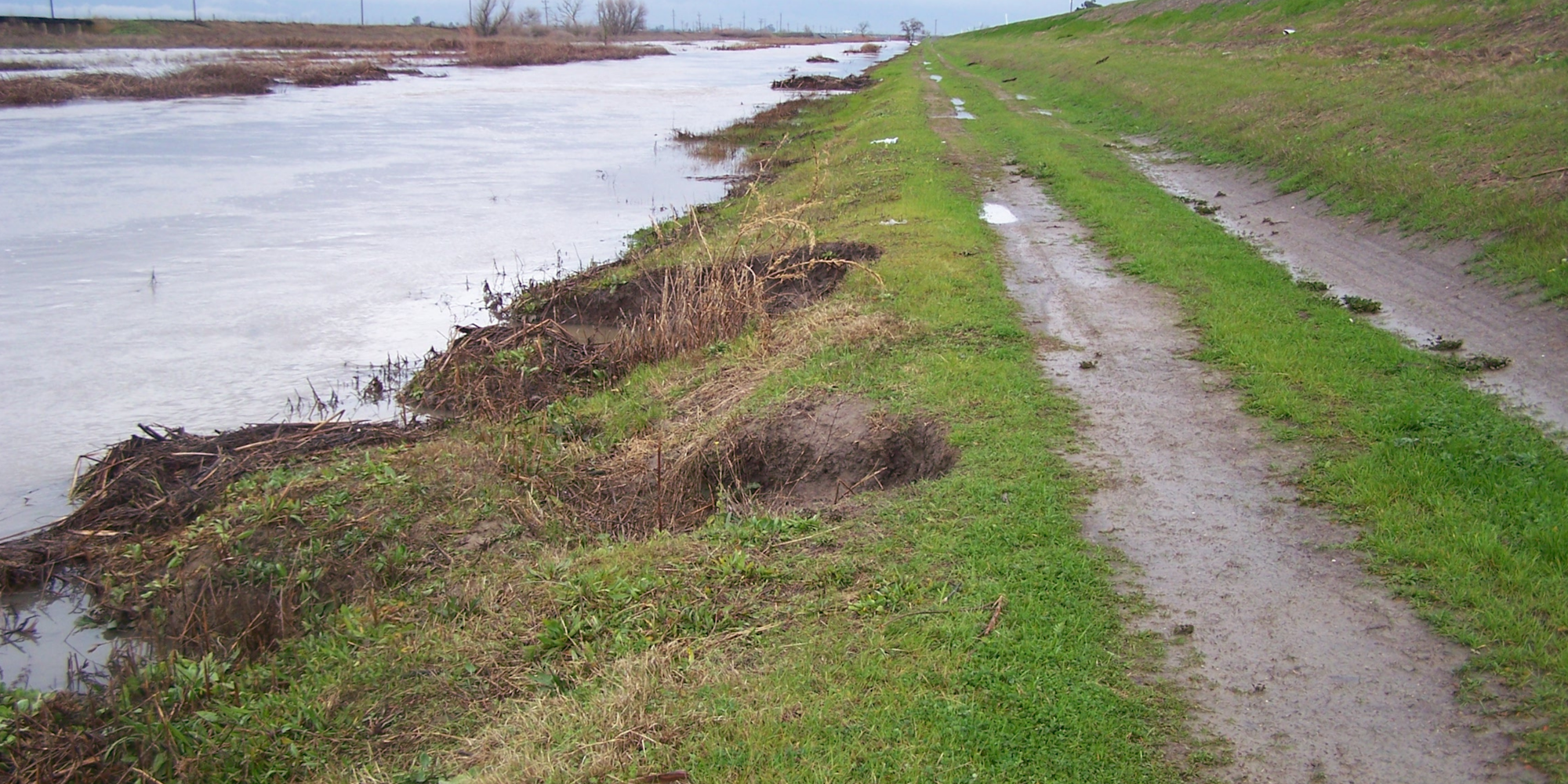 A muddy path runs alongside a waterway with vegetation and debris, indicating a wet environment or recent flooding.
