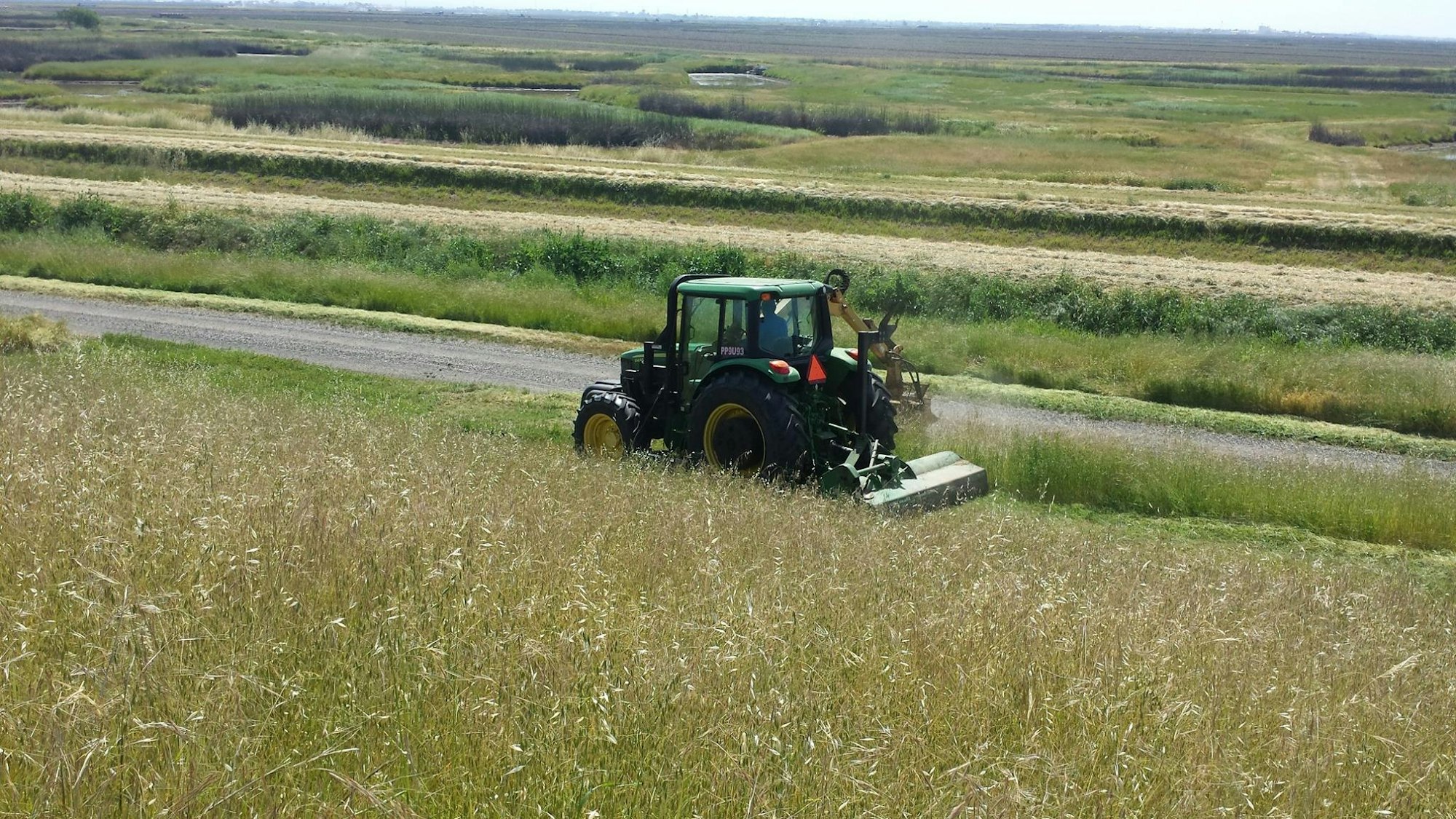 May contain: nature, outdoors, field, and countryside