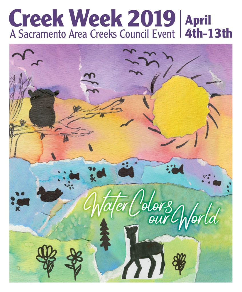 Creek Week 2019 Poster