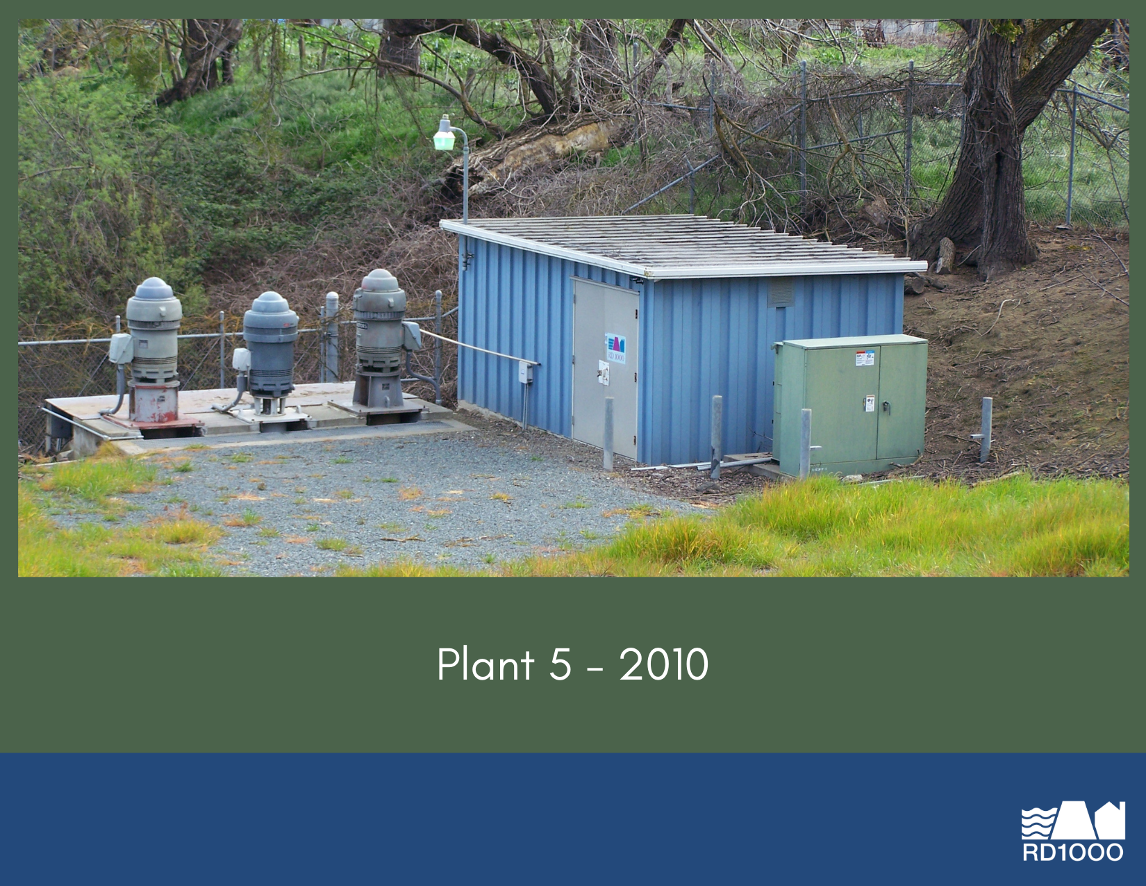 Plant 5