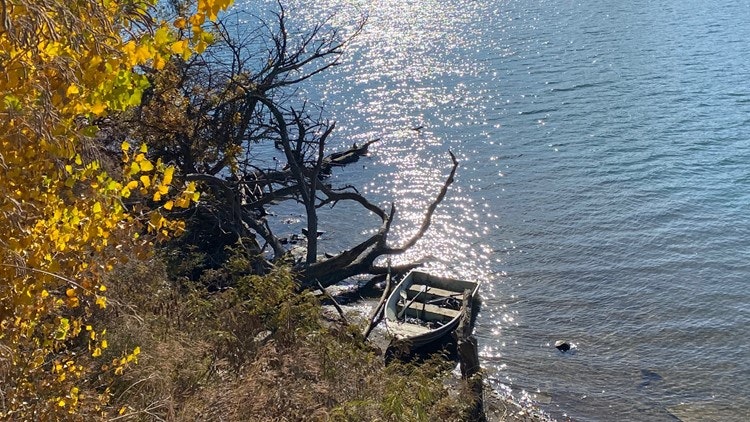 May contain: scenery, outdoors, nature, boat, vehicle, transportation, bird, animal, canoeing, water, water sports, sport, rowboat, person, leisure activities, and canoe