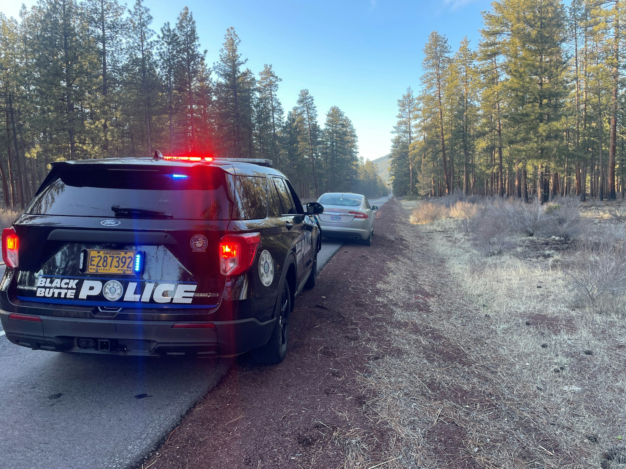 A police vehicle with lights on is parked beside a road in a forested area, next to another car.