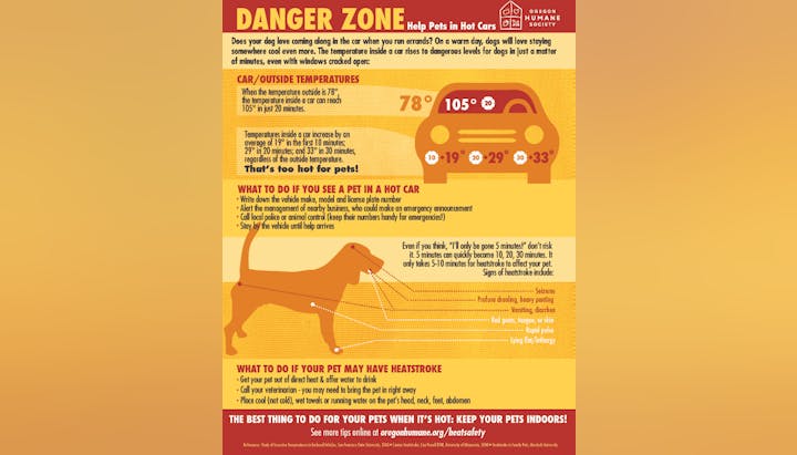 Infographic warns of the dangers of leaving pets in hot cars. Provides signs of heatstroke and actions to take.